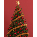 Send Christmas Tree to Pampanga