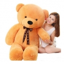 Send Teddy Bear to Pampanga