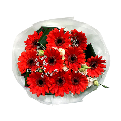 10 Red Color Gerbera Bouquet Pampanga