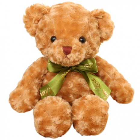 brown color medium size teddy to philippines