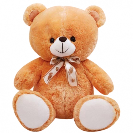 medium size light brown color teddy to philippines